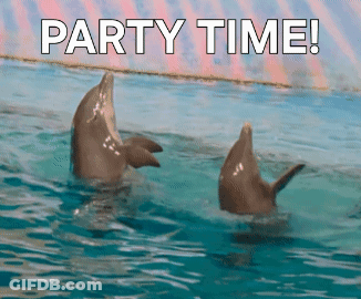 Two Dolphins With Party Time GIF