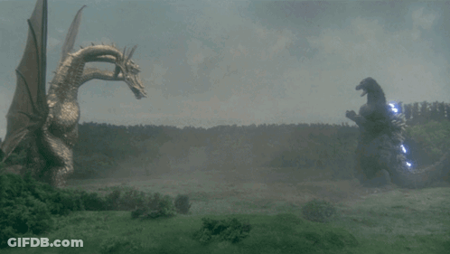 Two Dragons Fighting With Lightning GIF