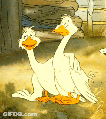 Two Ducks Are Standing Next To Each Other In A Cartoon GIF
