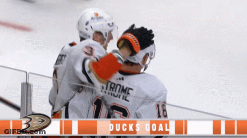 Two Ducks Hockey Players Hugging GIF