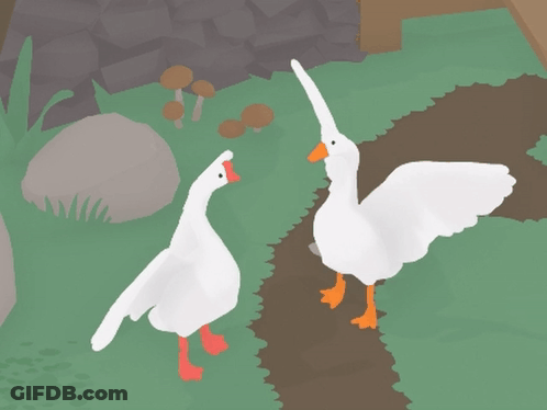 Two Ducks On Grassy Path GIF