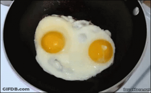 Two Eggs Cooking In Frying Pan Laughlore.net GIF