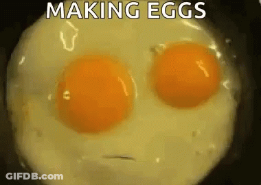 Two Eggs Cooking In Frying Pan Making Eggs GIF