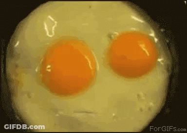 Two Eggs In A Frying Pan Forgifs.com GIF
