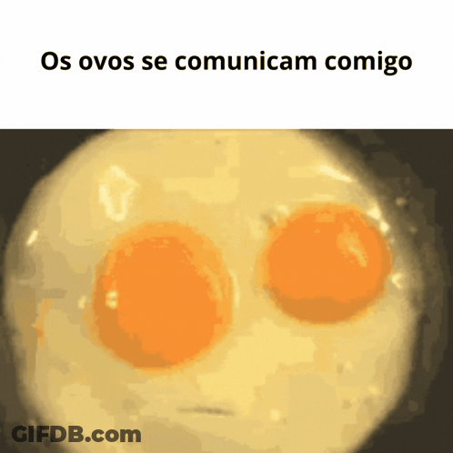 Two Eggs Saying Os Ovos Se Comunicam Comigo GIF