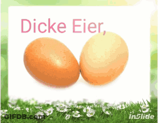Two Eggs With Dicke Eier GIF