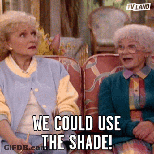 Two Elderly Women Sitting On Couch Saying We Could Use The Shade GIF