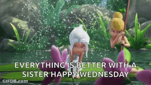 Two Fairies On A Leaf Everything Is Better With A Sister Happy Wednesday GIF