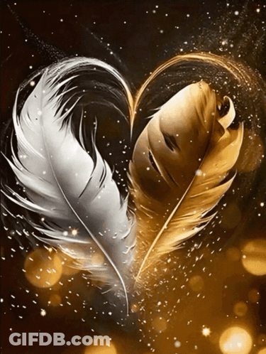 Two Feathers In The Shape Of A Heart Are Floating In The Air GIF