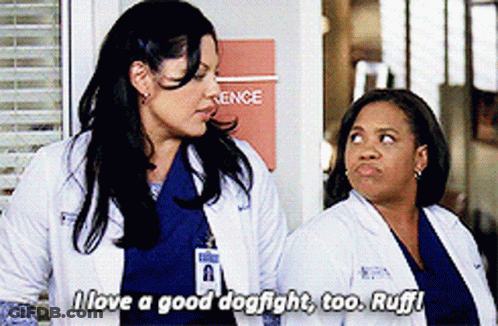 Two Female Doctors One Says I Love A Good Dogfight Too Ruff GIF