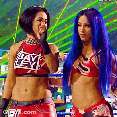 Two Female Wrestlers In Ring GIF