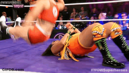 Two Female Wrestlers In Ring GIF
