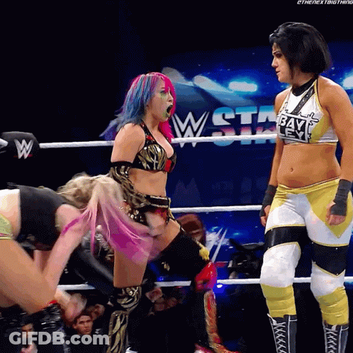 Two Female Wrestlers In Ring With Waste GIF