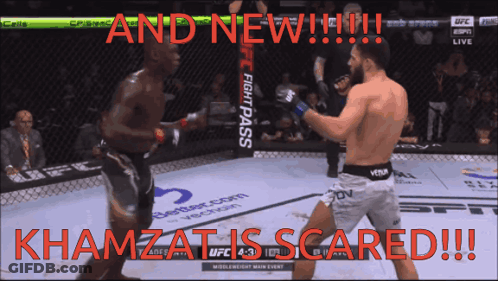 Two Fighters Are Fighting In A Cage And The Words " And New " Are Visible GIF