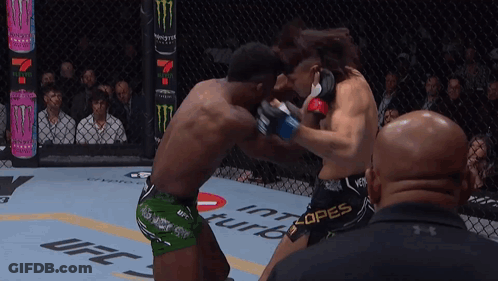 Two Fighters Are Fighting In A Ufc Ring And One Of Them Is Wearing Shorts That Say Lopes GIF