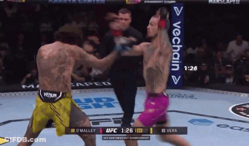 Two Fighters Boxing In Ring With VeChain Sign GIF