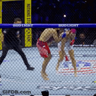 Two Fighters Cage Fighting Bud Light GIF