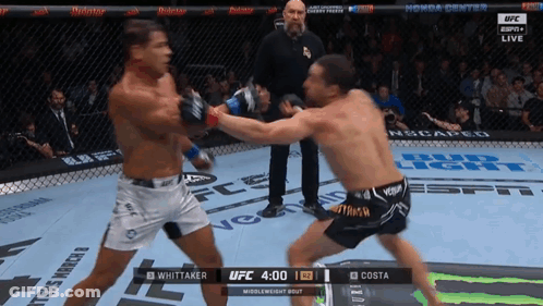 Two Fighters Fighting In Cage With UFC Logo GIF