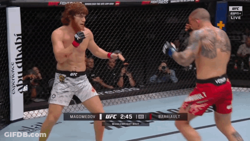 Two Fighters Fighting In Cage With UFC Logo GIF