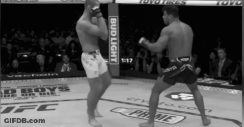 Two Fighters Fighting In Ring GIF