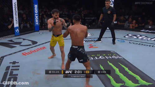 Two Fighters Fighting In Ring GIF