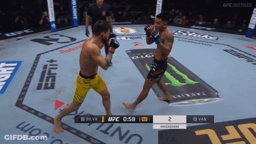 Two Fighters Fighting In UFC Ring GIF