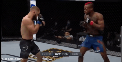 Two Fighters Fighting In UFC Ring GIF