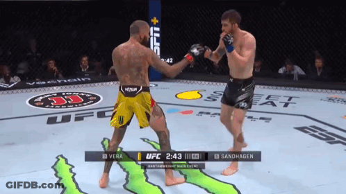 Two Fighters Fighting In UFC Ring GIF