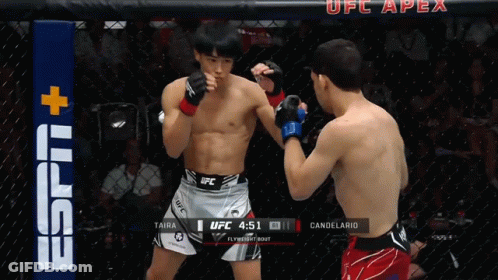 Two Fighters Fighting In UFC Ring Score 4:01 GIF