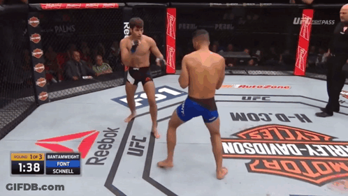 Two Fighters In A Boxing Ring With Reebok And Harley Davidson Ads GIF