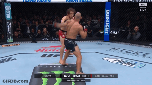 Two Fighters In Boxing Ring With Bud Light Banner GIF