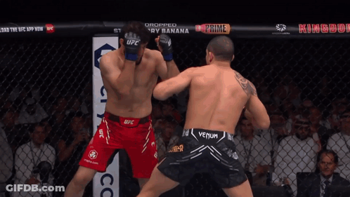 Two Fighters In Cage With Crypto.com Banner GIF