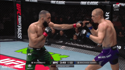 Two Fighters In UFC Fight Pass Event GIF