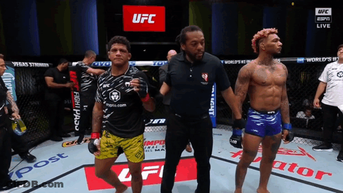 Two Fighters In UFC Ring With Referee GIF