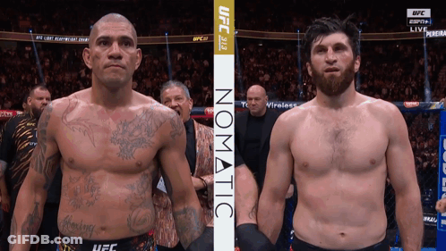 Two Fighters Standing Next To Each Other With Ufc Written On The Bottom Right GIF