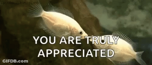 Two Fish Are Kissing Each Other And The Words `` You Are Truly Appreciated '' Are Written Below Them . GIF