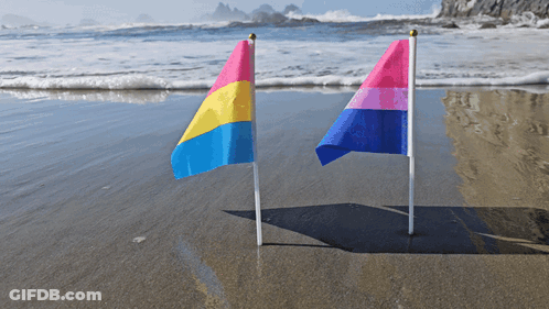 Two Flags On A Beach One Of Which Says Pansexual GIF