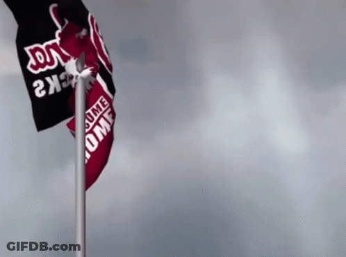 Two Flags On Pole One Says Home GIF