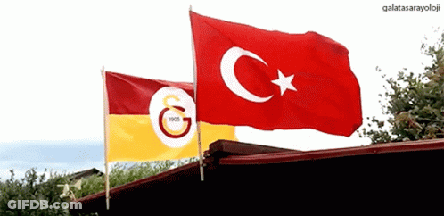 Two Flags With Letters G And C Waving GIF