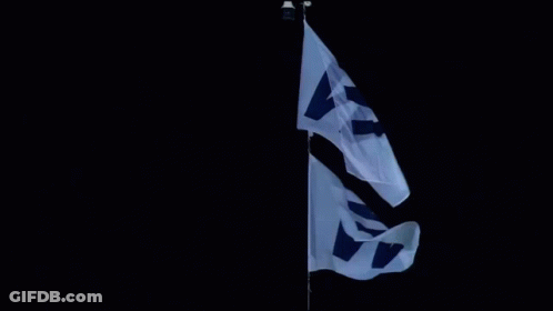 Two Flags With W Flying GIF