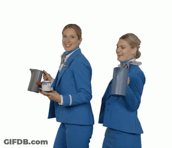 Two Flight Attendants Landed GIF