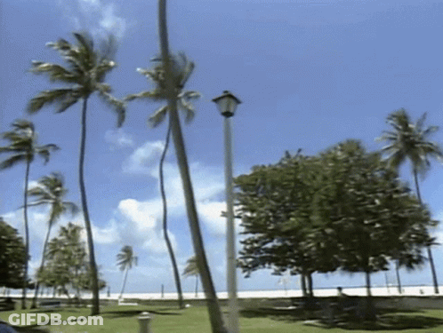 Two Football Players Lying On Ground NFL Touchdown GIF
