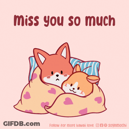 Two Foxes Hugging Miss You So Much GIF