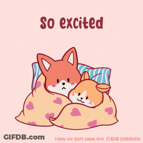 Two Foxes Laying Under Blanket With So Excited GIF