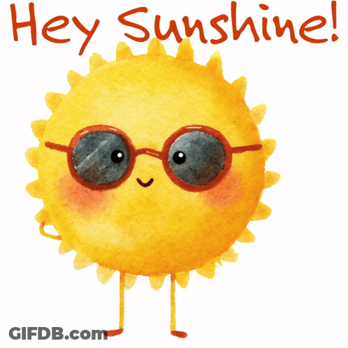 Two Foxes Sleeping Under Blanket You Are My Sunshine GIF