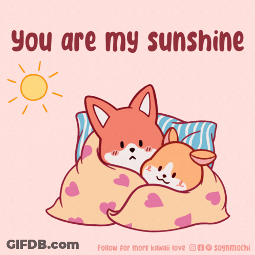 Two Foxes Sleeping Under Blanket You Are My Sunshine GIF