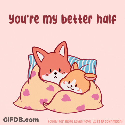 Two Foxes Sleeping Under Blanket You're My Better Half GIF
