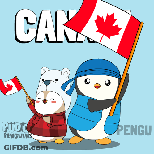 Two Foxes Watching Soccer Game Lets Go Canada GIF