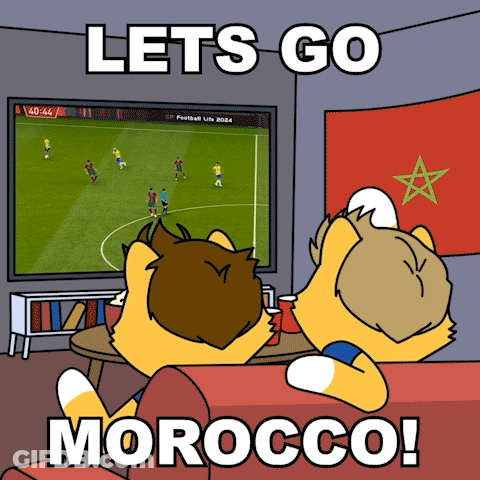 Two Foxes Watching Soccer Lets Go Morocco GIF