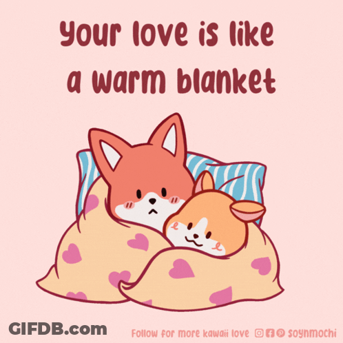 Two Foxes Wrapped In Blanket Love GIF